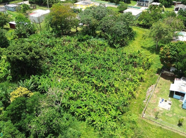 1 CORRALES, Aguadilla, Aguadilla, 00603