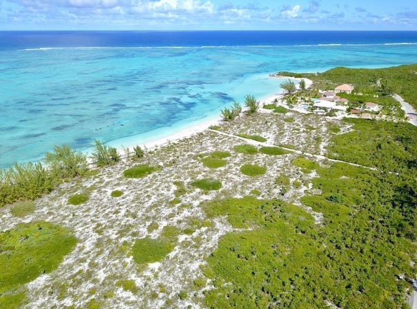 PUMPKIN BLUFF,