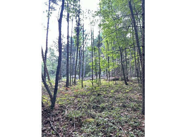 BlackBerry Lane, Biddeford, ME 04005