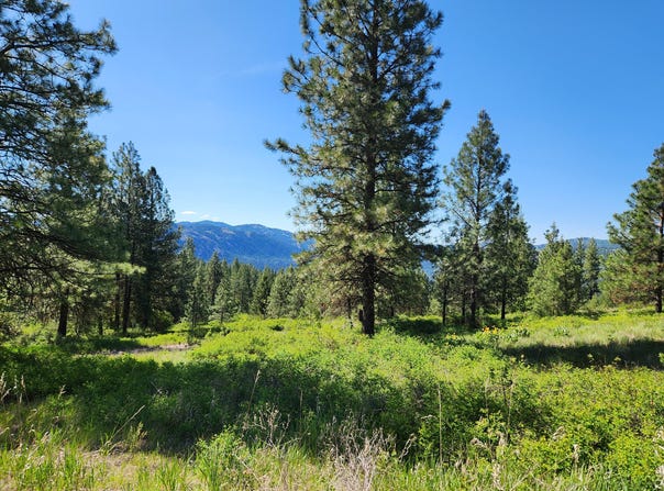 GOLD MOUNTAIN Rd, REPUBLIC, WA 99166