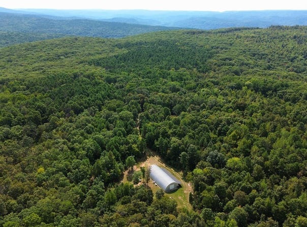 Fs Rd 1548, Oark, AR 72852