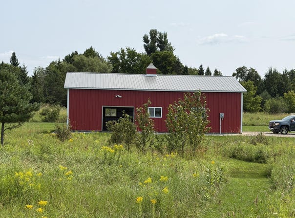 6397 Pickerel Drive, Alanson, MI 49706