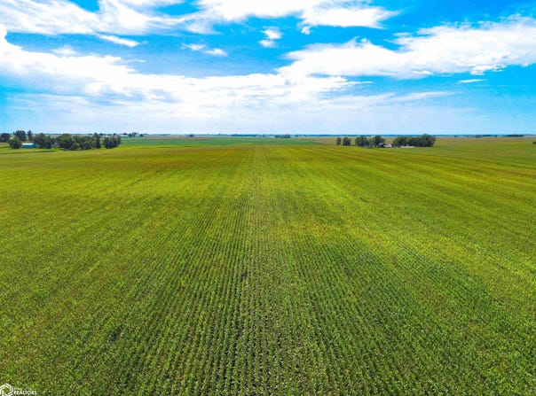 Independence Avenue, Waterloo, IA 50703