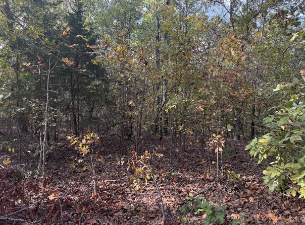 Tbd Yy Highway, Norwood, MO 65717