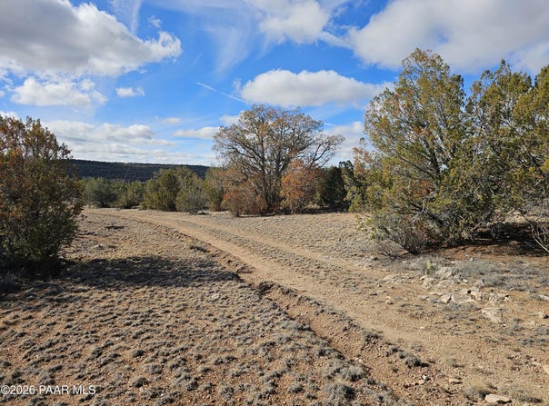 30022 W Amalia Road, Seligman, AZ 86337