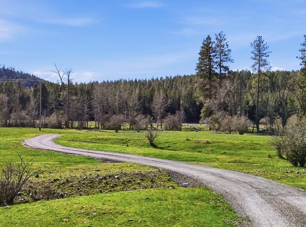 3564 Long Prairie Rd, Valley, WA 99181