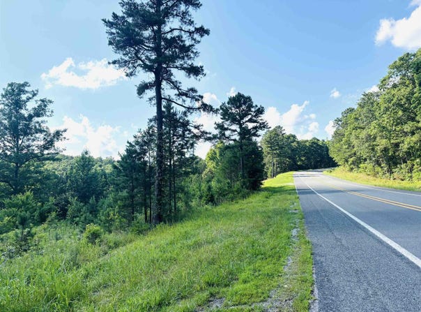 00 Geier W 14 Highway, Mountain View, AR 72560