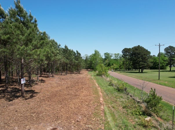 Lincoln Springs Rd, Gladewater, TX 75647