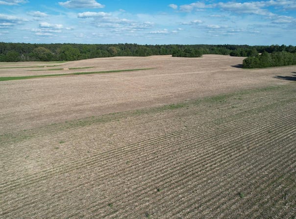 Jones Orchard Rd, Golconda, IL 62938