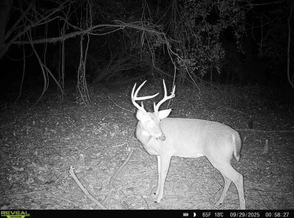 0 HWY 51, Durant, MS 39063