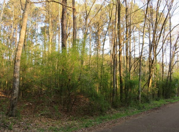 Woodland St, Kosciusko, MS 39090