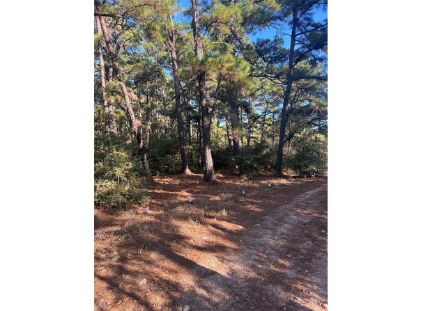 Pine Lodge Dr lot: 43, Bastrop, TX 78602