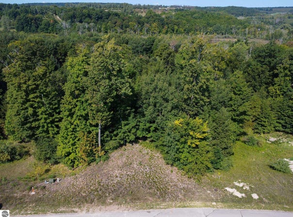 1955 N Blue Water Court lot: 2, Suttons Bay, MI 49682