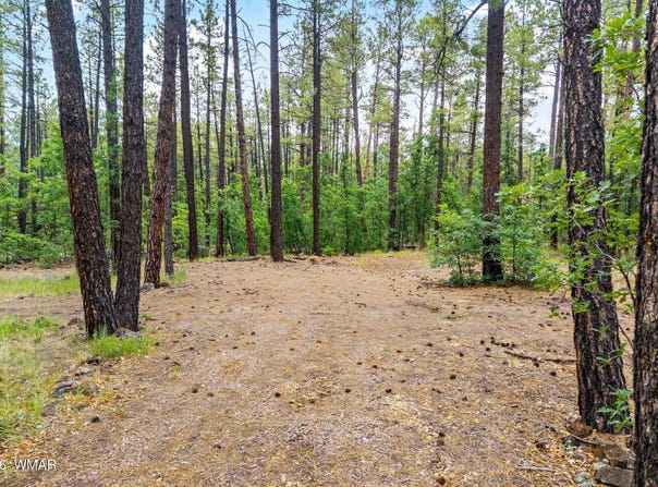 2094 Brown Bear Loop, Pinetop, AZ 85935