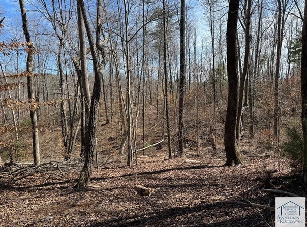 Abram Penn Hwy, Patrick Springs, VA 24133