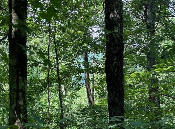 Bobcat Lane lot: 89, Wilder, TN 38589
