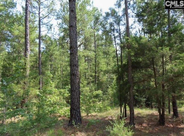 Landis Road, Winnsboro, SC 29180