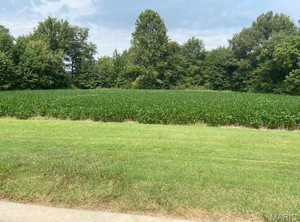 Brookfield Drive, Dexter, MO 63841