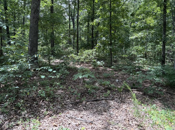State Hwy. 76, Cape Fair, MO 65624