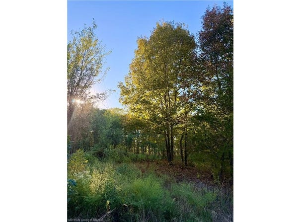 tbd (tract 2) Bear Creek, Fort Smith, AR 72916