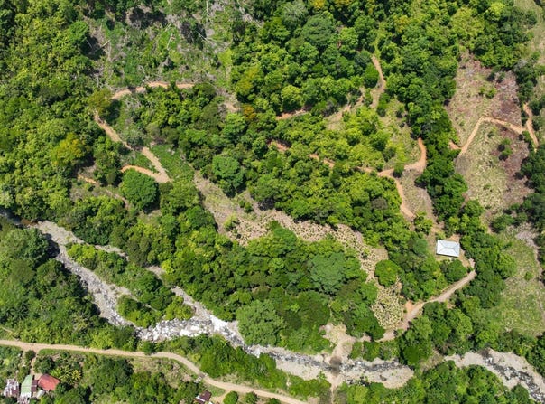 Finca Dos Bocas, Savegre de Aguirre, 60602