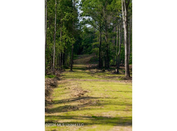 Lorance Road, Clinton, MS 39056