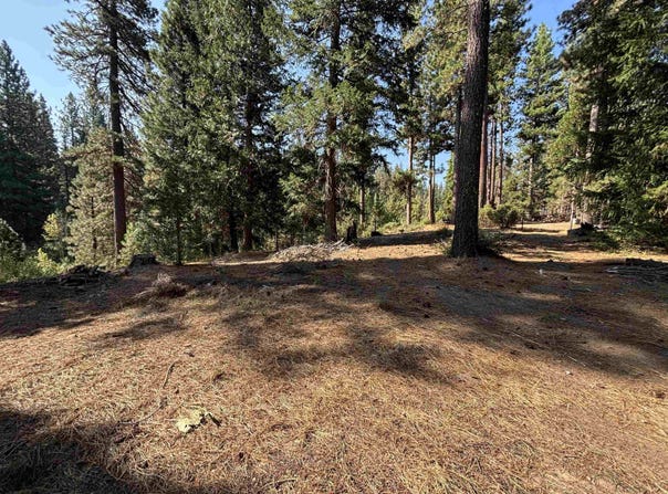 86 Eureka Springs Drive, Blairsden, CA 96103