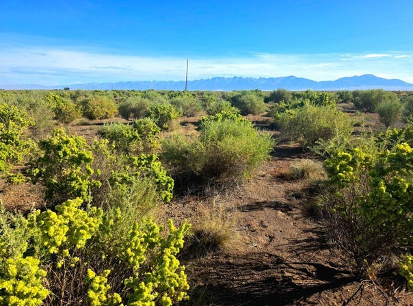 Lane 6N, Mosca, CO 81146