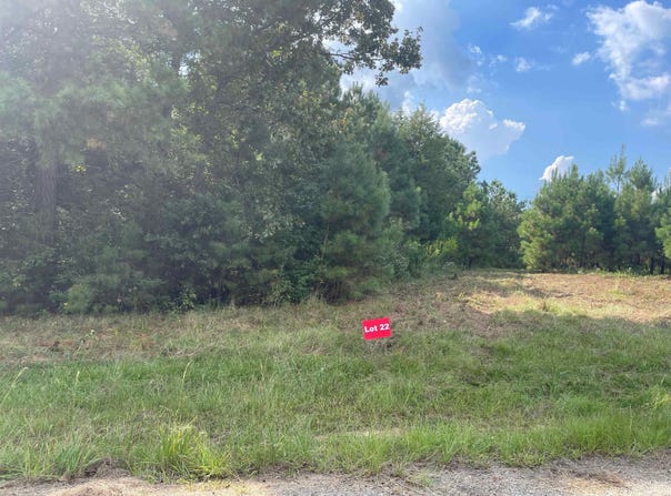 TBD Lot 22 CR 2204 D & FM 1797, Tatum, TX 75691