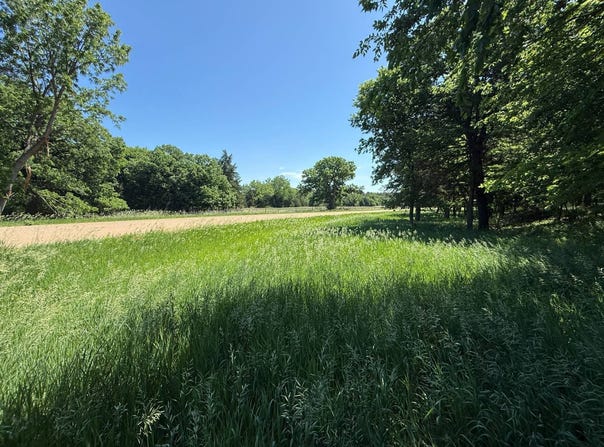 10 +/- Acres, Holt County, Lynch, NE 68746