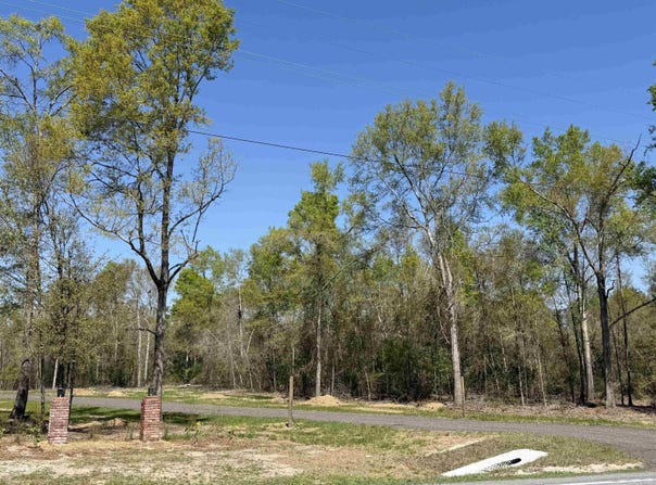 Parcel 2 E US 90 Highway, Lee, FL 32059-8266