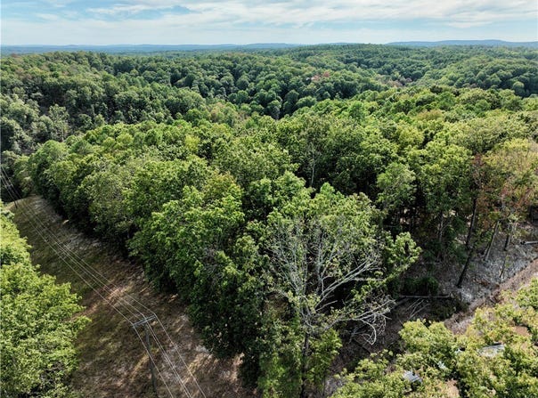 Railroad Cut Road, Rogers, AR 72756