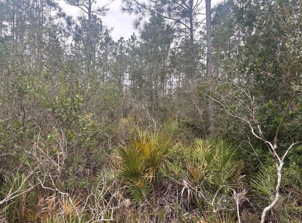 Old Grade Road, FL 33868