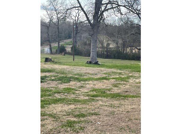 203 FM 2476, Nacogdoches, TX 75946