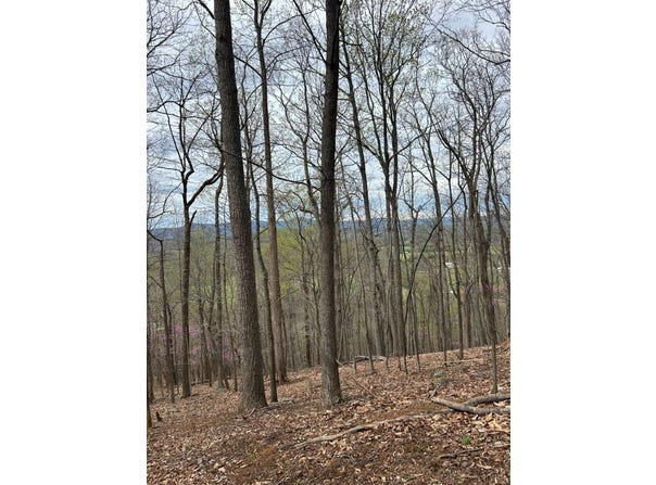 19 Crane Drive, Monroe, VA 24574