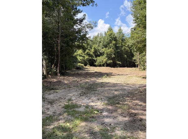 1547d Pine Valley Drive, Elgin, SC 29045