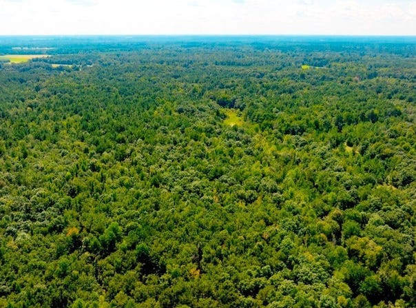 Waynesboro, GA 30830