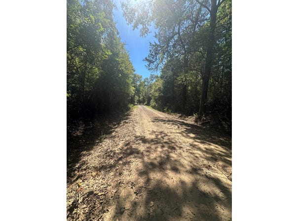 97 Vines Road, Noble, LA 71462