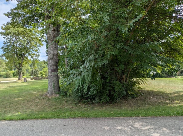 Delano Street, Romulus, MI 48174