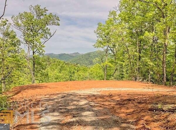 Wynngate Drive, Dillard, GA 30537