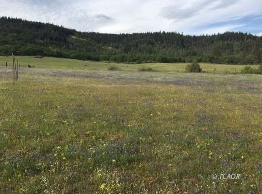 1741 Farmer Ranch Rd, Hayfork, CA 96041