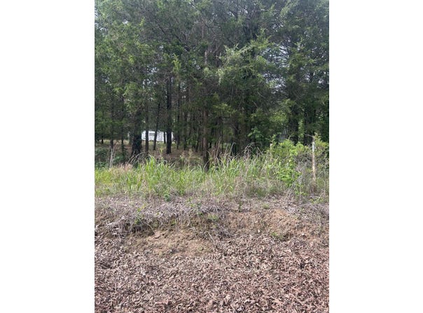 1440 Hideout Road, Pleasant Plains, AR 72568