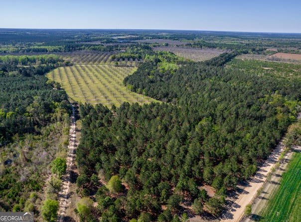 Kermit Road, Cobbtown, GA 30420