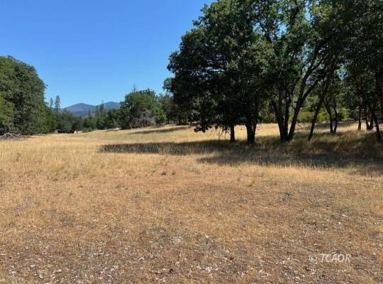200 Creek Crossing Rd, Hayfork, CA 96041