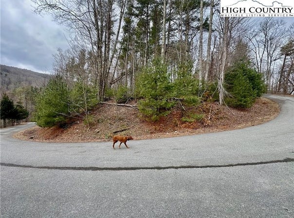 Mantera Ridge, Sugar Grove, NC 28679