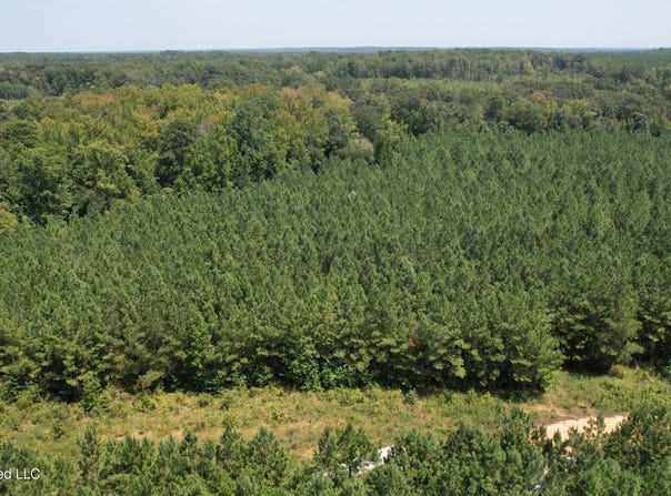 Cr 2132, McCool, MS 39108