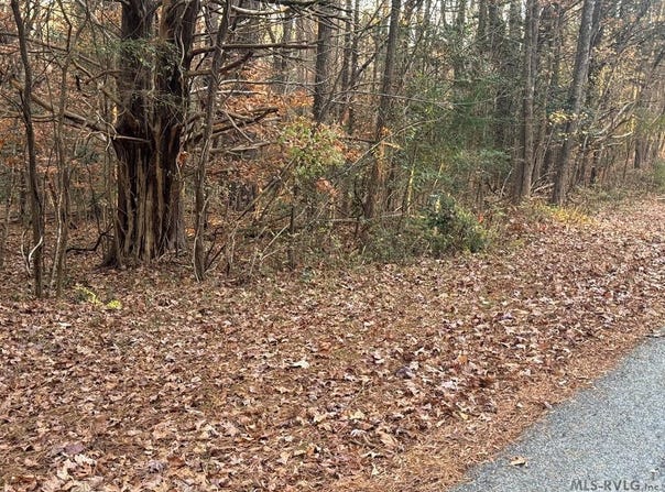 Windward Passage lot: 64, Bracey, VA 23919