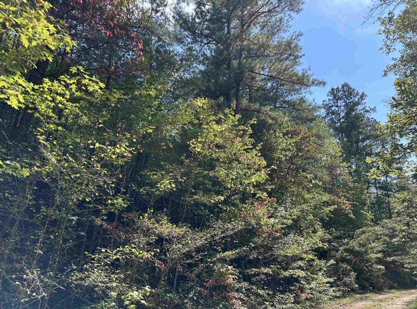 Co Rd 3034, Double Springs, AL 35553