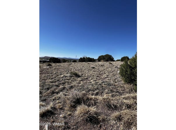 58 Short Lane, Concho, AZ 85924