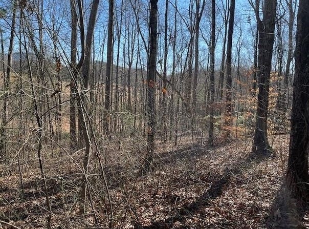 The Woodlands lot: 2E, HAYESVILLE, NC 28904